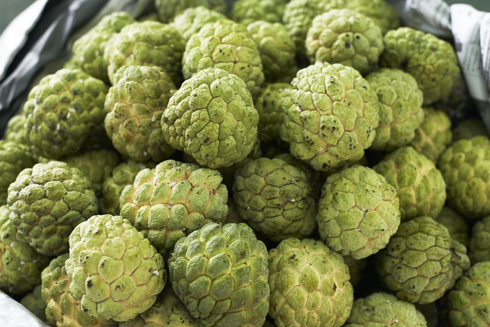 Escudo Antioxidante: Proteção Contra Danos - inspiração 2