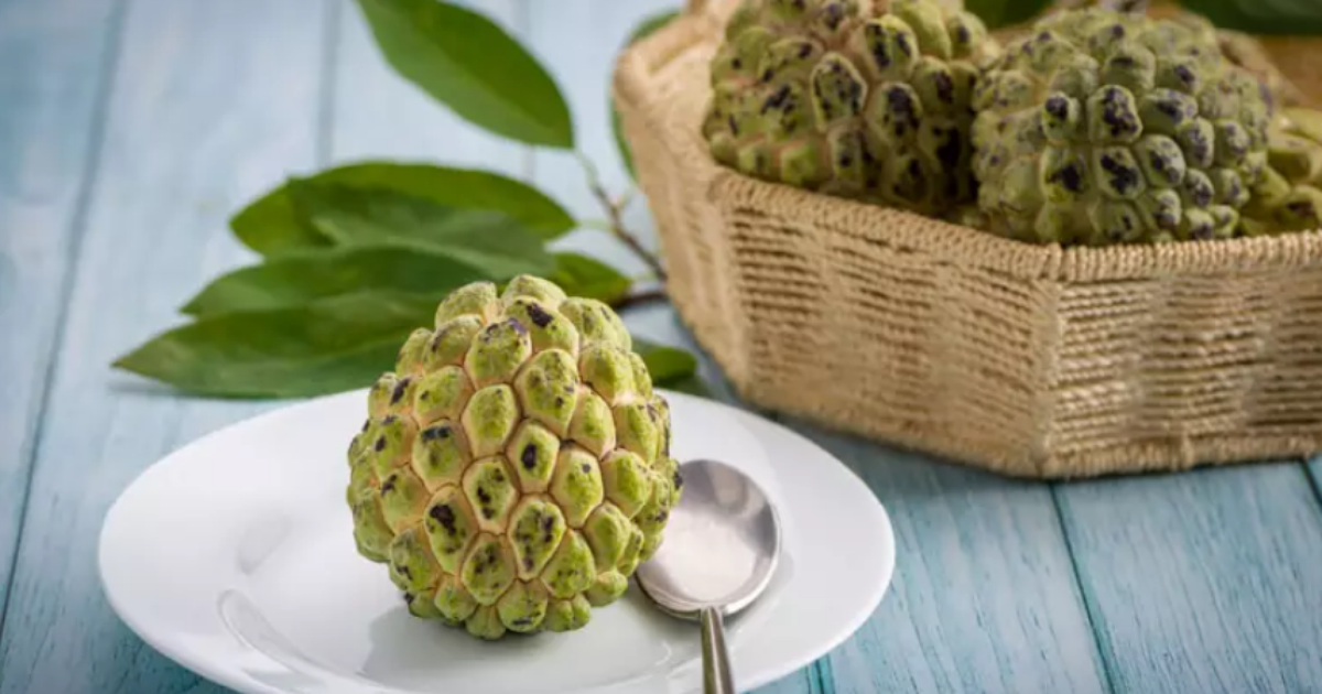 Escudo Antioxidante: Proteção Contra Danos - inspiração 3