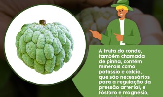 Controle da Oleosidade: Couro Cabeludo Saudável - inspiração 3