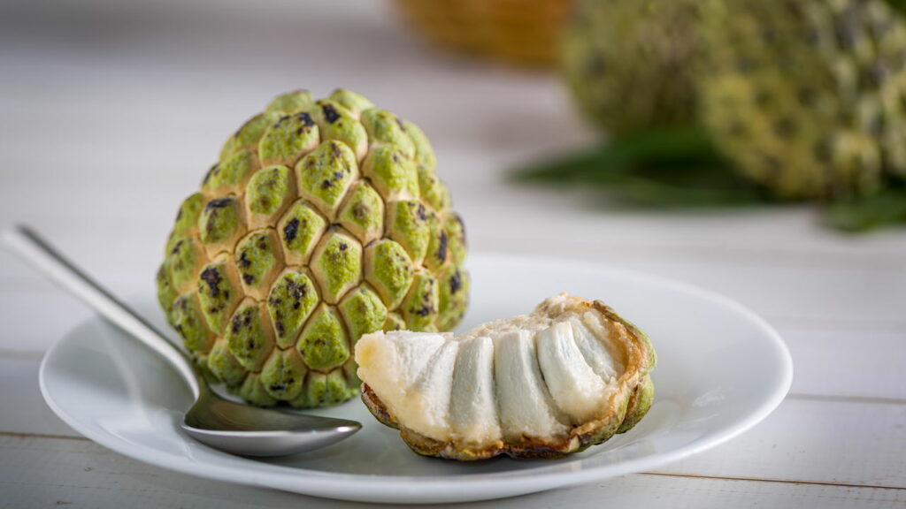 Xô, Caspa! Ação Antimicrobiana em Ação - inspiração 1