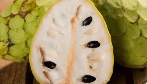 Xô, Caspa! Ação Antimicrobiana em Ação - inspiração 3