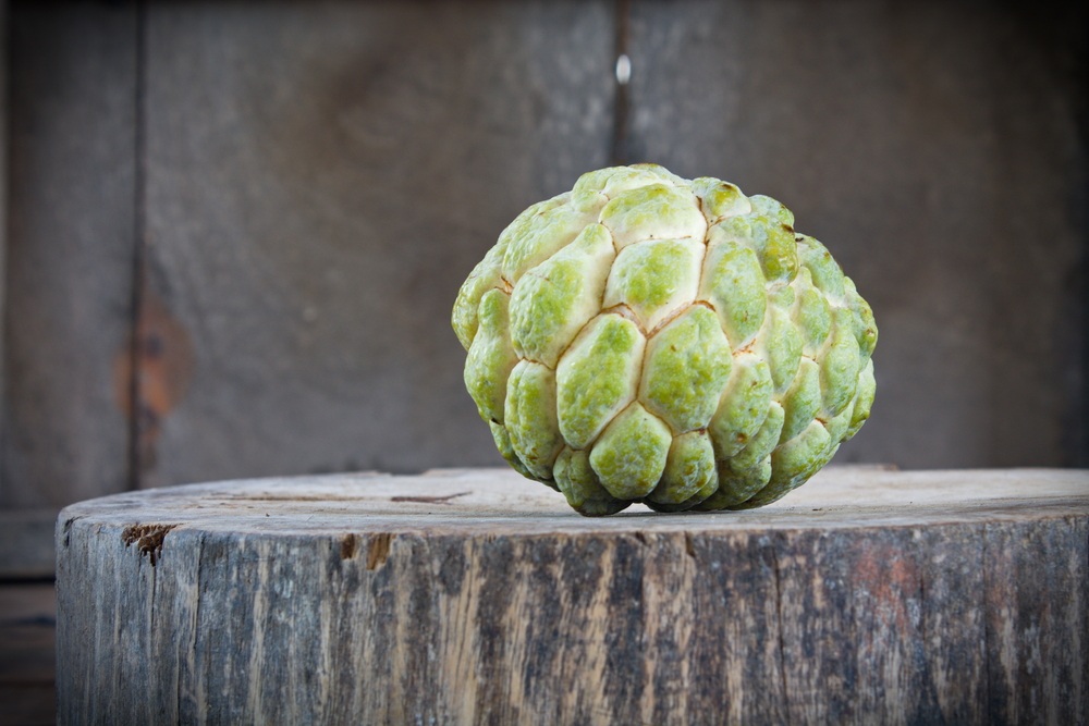 Hidratação Profunda: Maciez e Brilho - inspiração 3