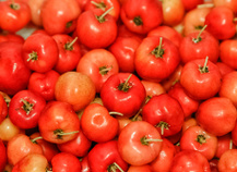 Vitamina A: O Segredo de um Couro Cabeludo Feliz - inspiração 2