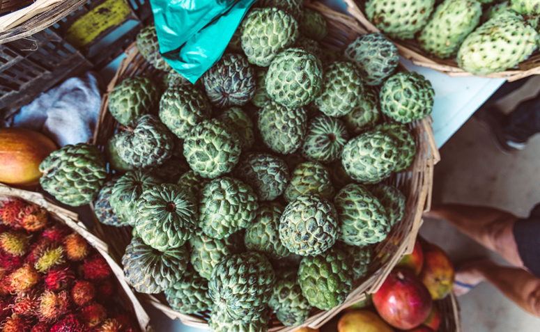 Vitamina A: O Segredo de um Couro Cabeludo Feliz - inspiração 3