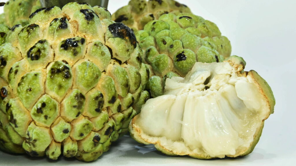 Ferro no Combate à Queda: Fios Revigorados - inspiração 1