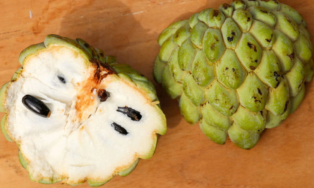 Ferro no Combate à Queda: Fios Revigorados - inspiração 3