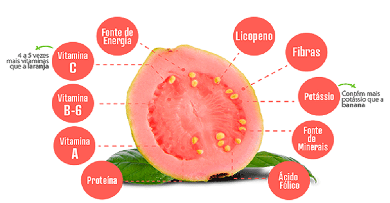 Dica de Ouro para um Tubo Neural Forte: Ação do Ácido Fólico - inspiração 1