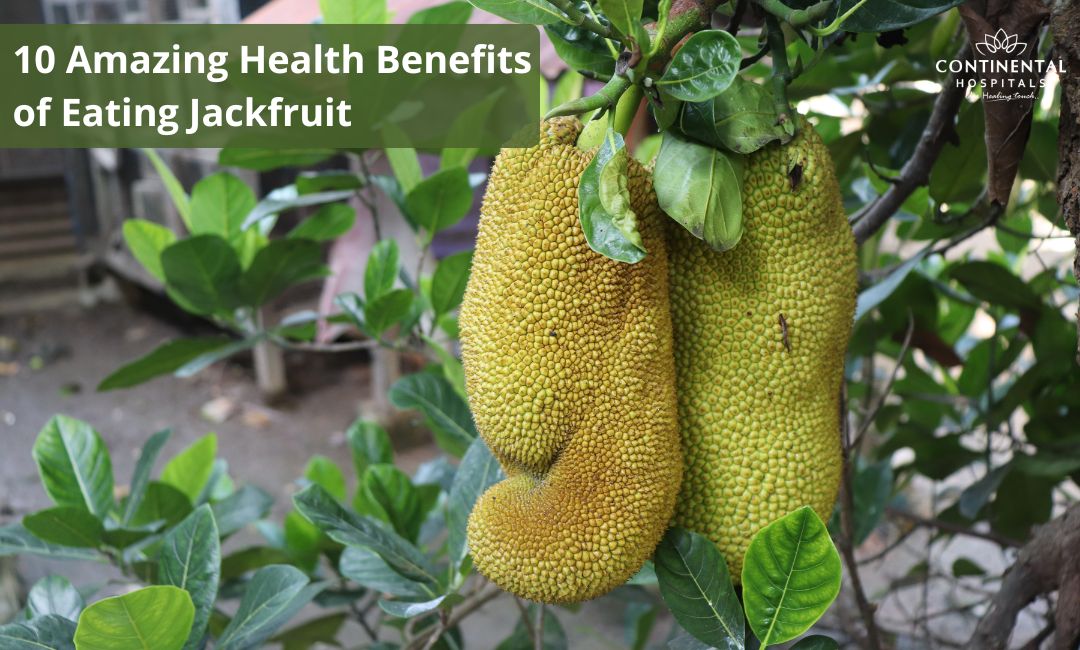 Ritmo Intestinal Perfeito: Diga Adeus ao Desconforto com a Ajuda das Fibras Amigas - inspiração 2