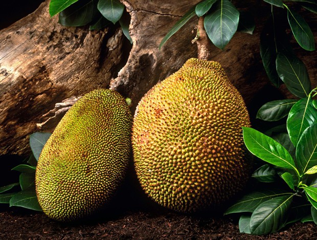 Pressão Arterial Sob Controle: O Aliado Natural do Seu Coração para um Bem-Estar Pleno - inspiração 1