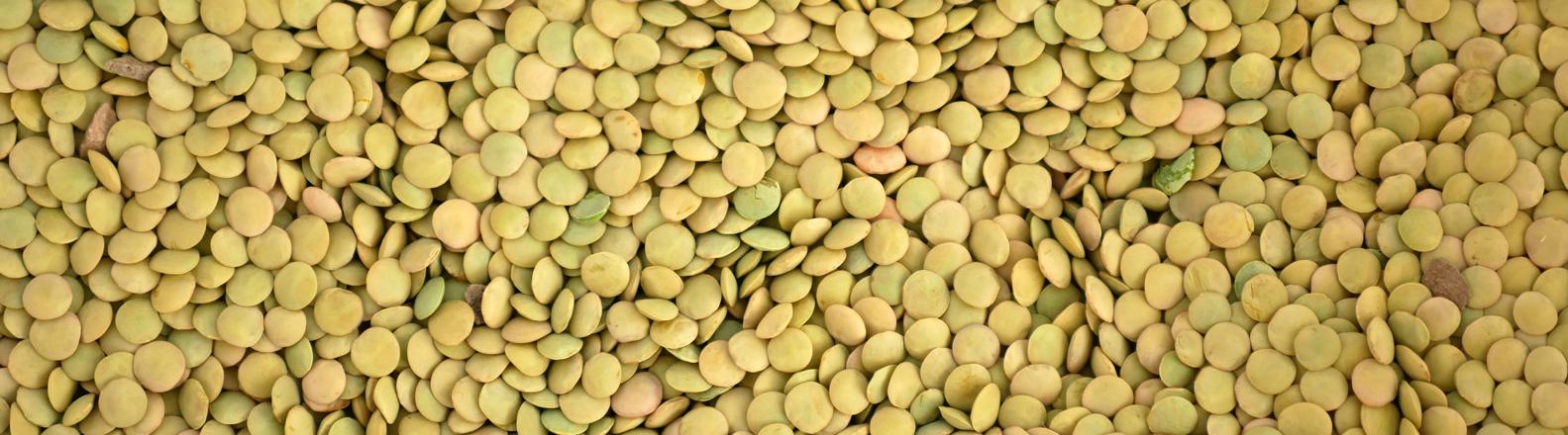 Solução Prática: Faça um estoque inteligente de lentilha - inspiração 1