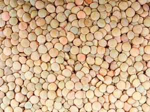 Erros Comuns: O que te impede de absorver o ferro da lentilha - inspiração 1