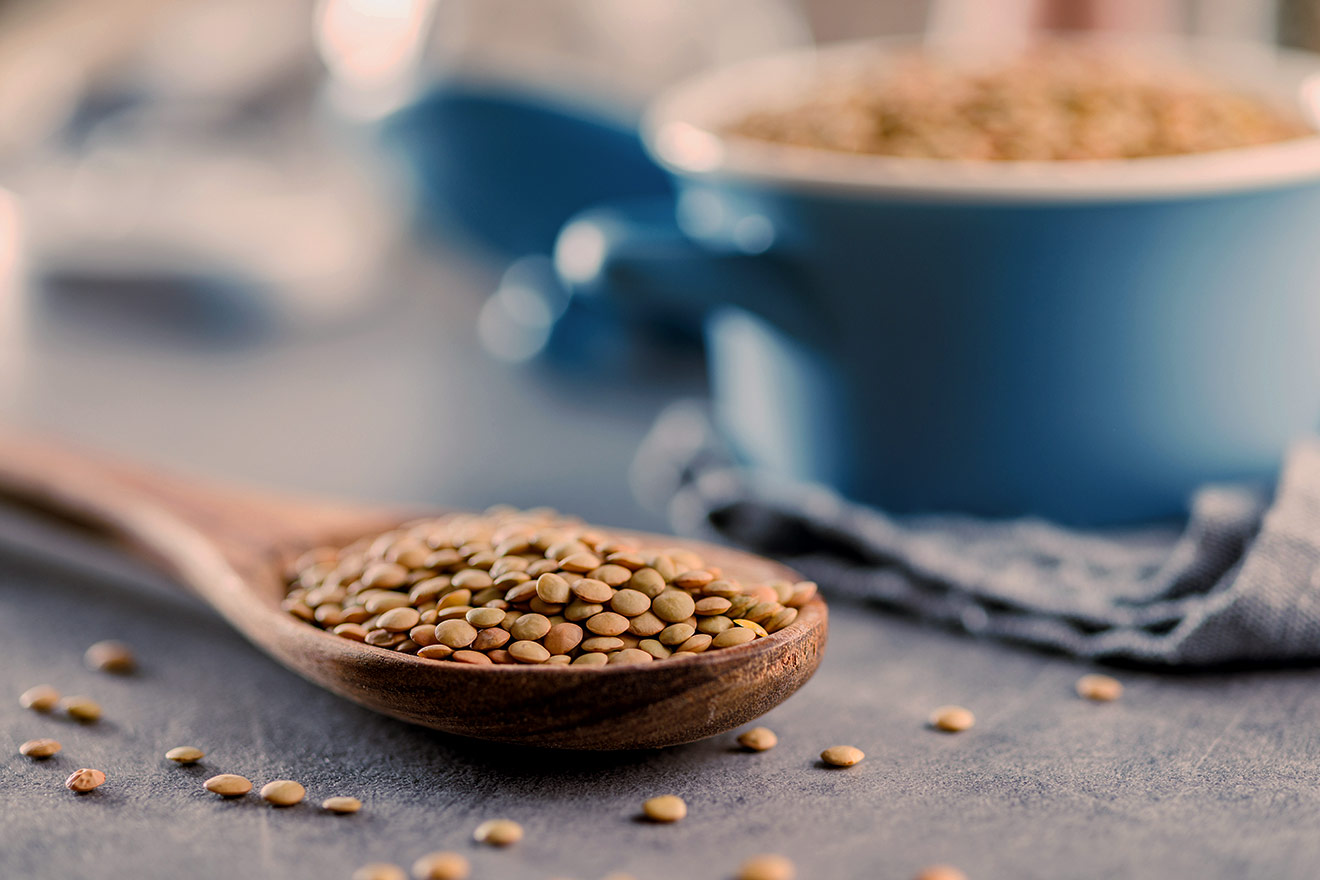 Erros Comuns: O que te impede de absorver o ferro da lentilha - inspiração 3