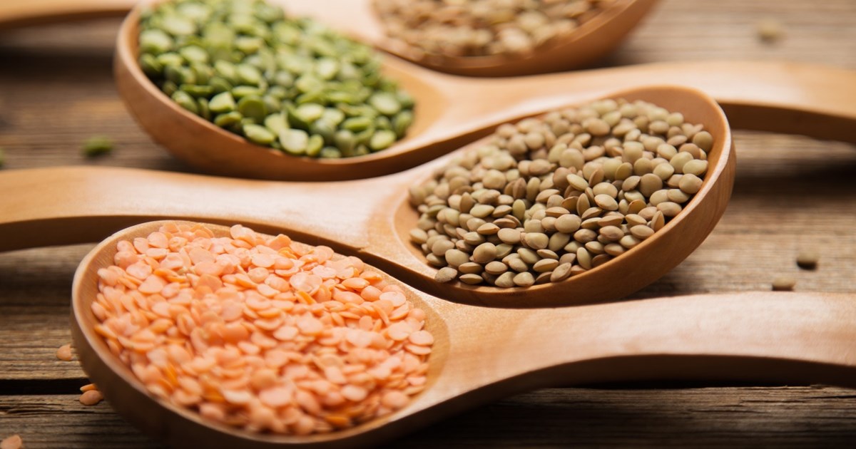 Passo a Passo: Germine a lentilha e aumente o poder nutritivo - inspiração 3