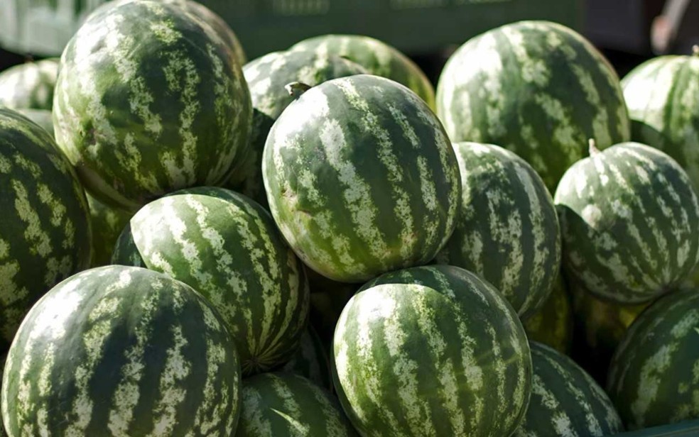 O Escudo Protetor Contra a Formação de Pedras Renais - inspiração 1