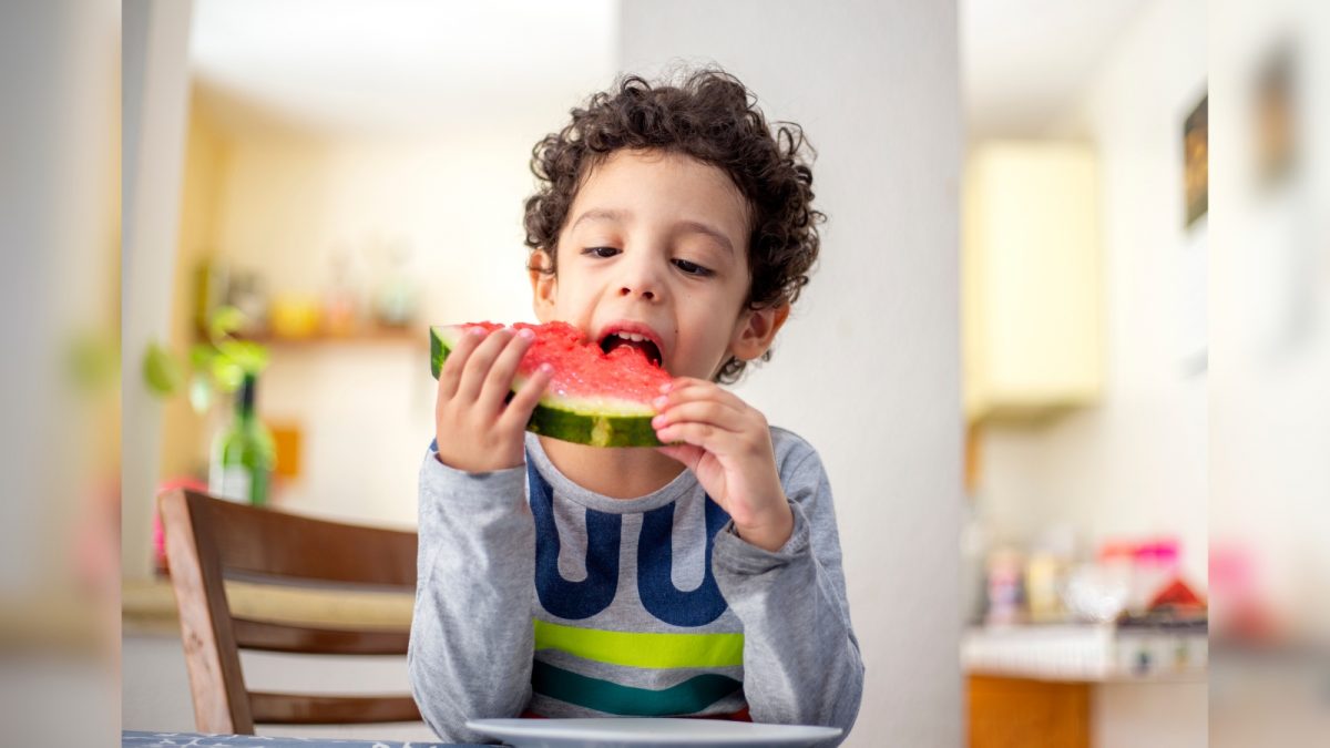 O Escudo Protetor Contra a Formação de Pedras Renais - inspiração 3