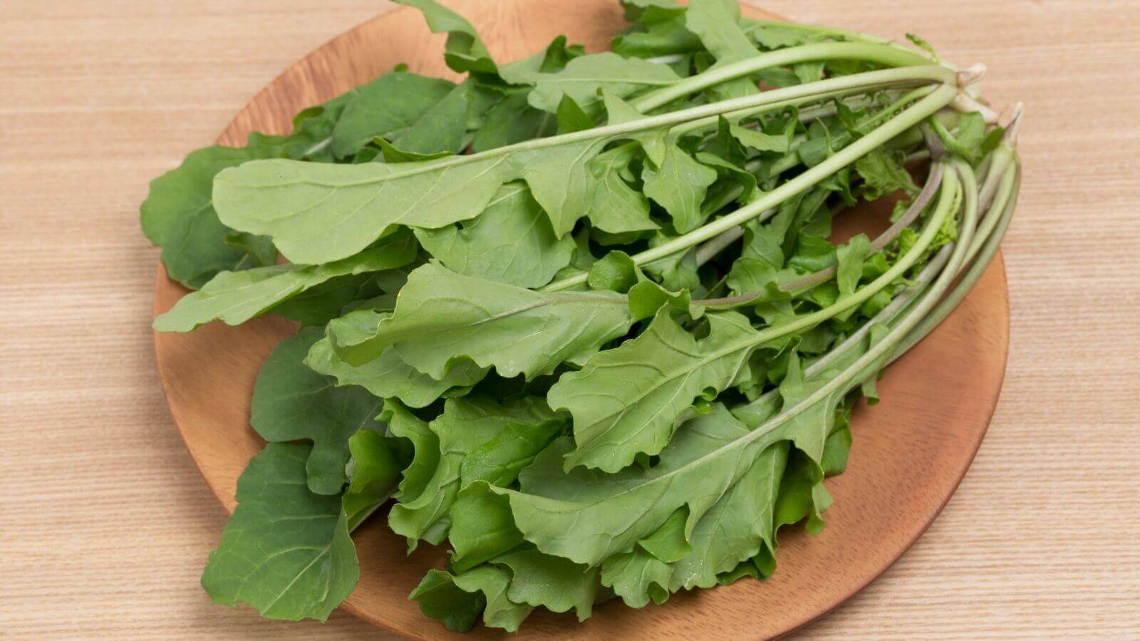 O Segredo da Rúcula para uma Visão Noturna Impecável - inspiração 2