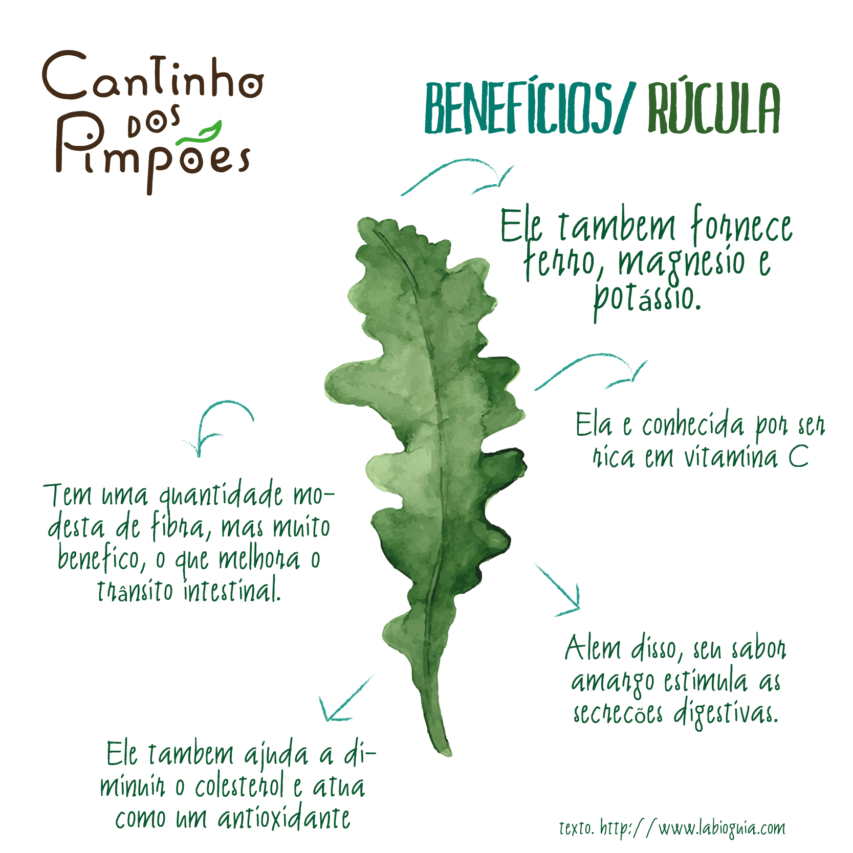 Receita Poderosa: Rúcula com Azeite para Máxima Absorção de Luteína e Zeaxantina - inspiração 3