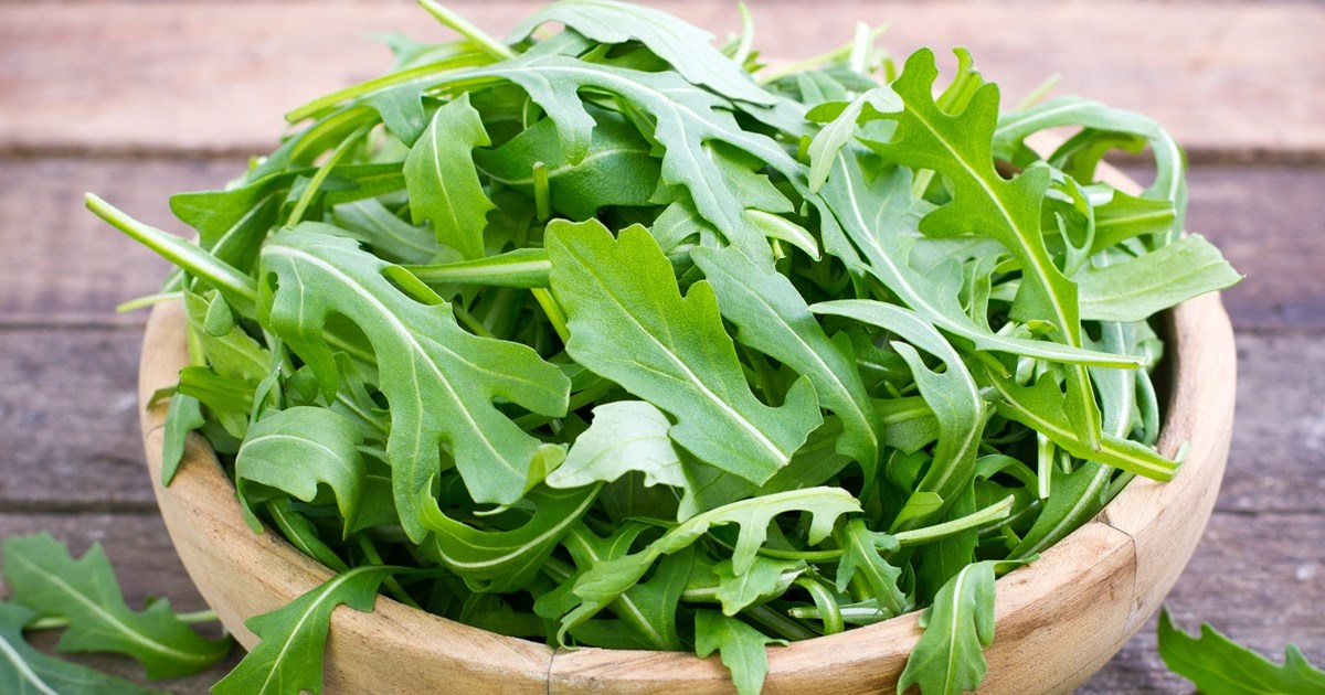 Sinal de Alerta: Deficiência de Vitamina A e Como a Rúcula Pode Ajudar - inspiração 3