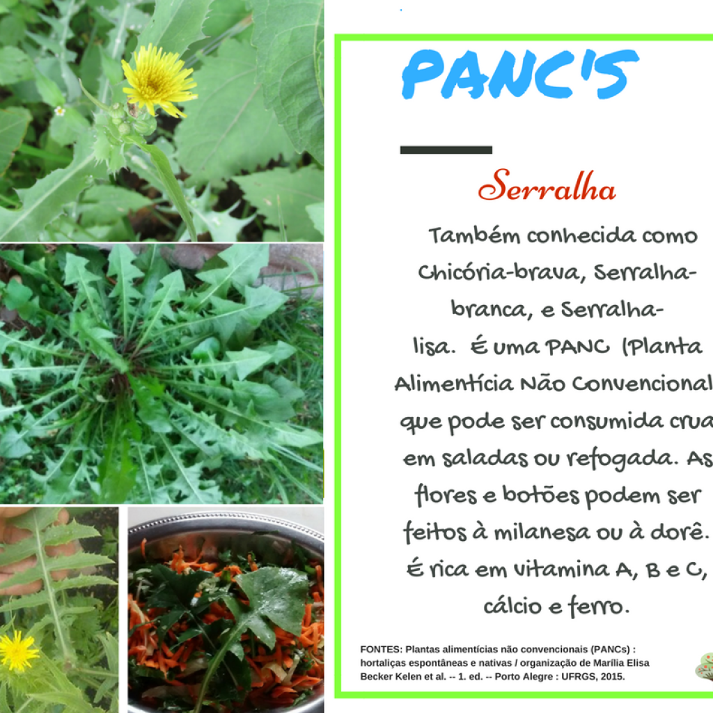 Sinal de Alerta: Identifique os Primeiros Sintomas de Problemas Estomacais - inspiração 1