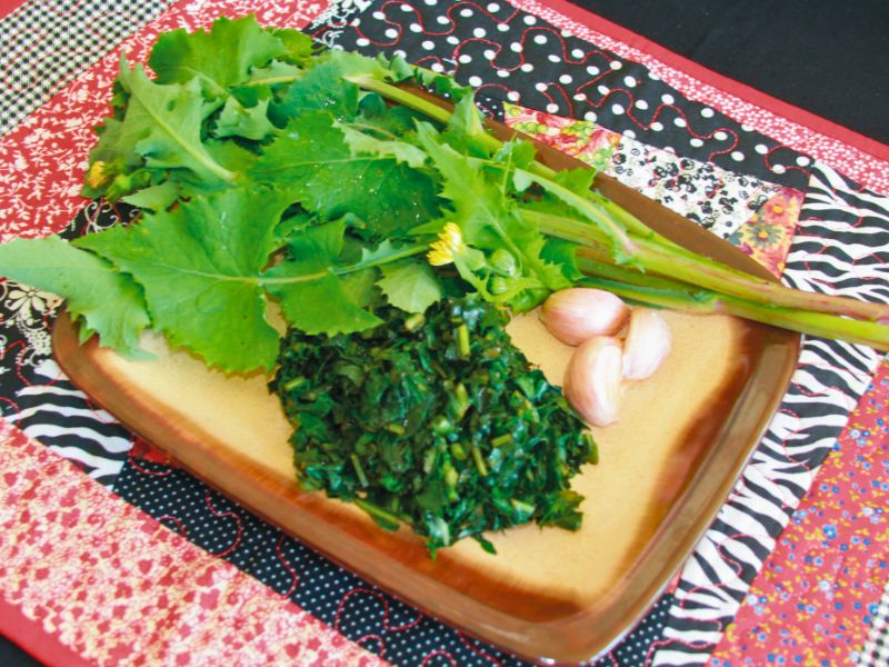 Passo a Passo: Inclua a Serralha Fresca na Sua Salada Diária - inspiração 1