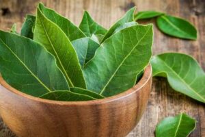 Dica de Especialista: Combine a Serralha com Outras PANC's para um Efeito Potencializado - inspiração 3