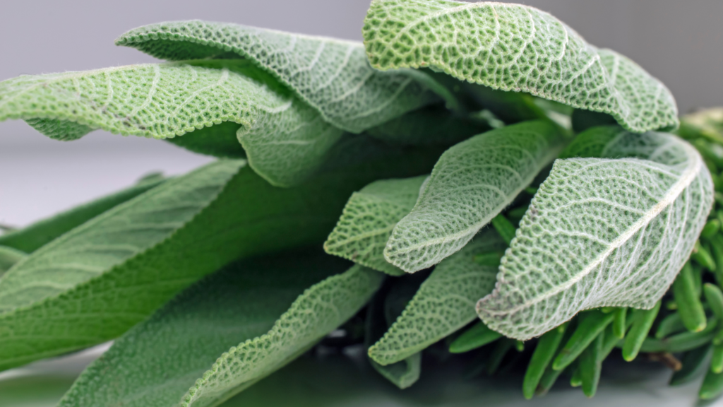 Aliviando os Desafios da Menopausa com Carinho Natural - inspiração 3