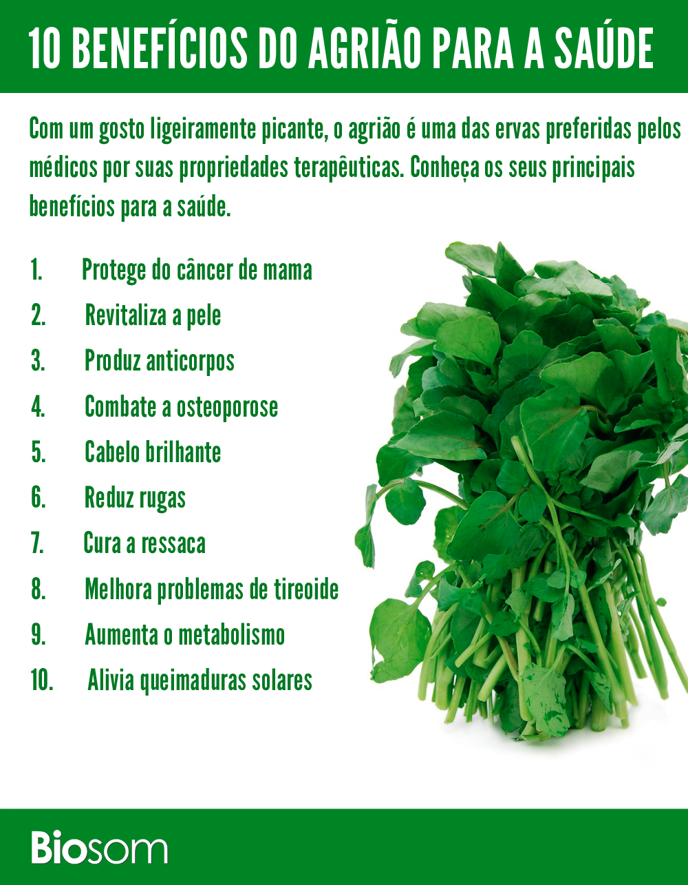 Dica de Ouro: Xarope Caseiro para Tosse - inspiração 3