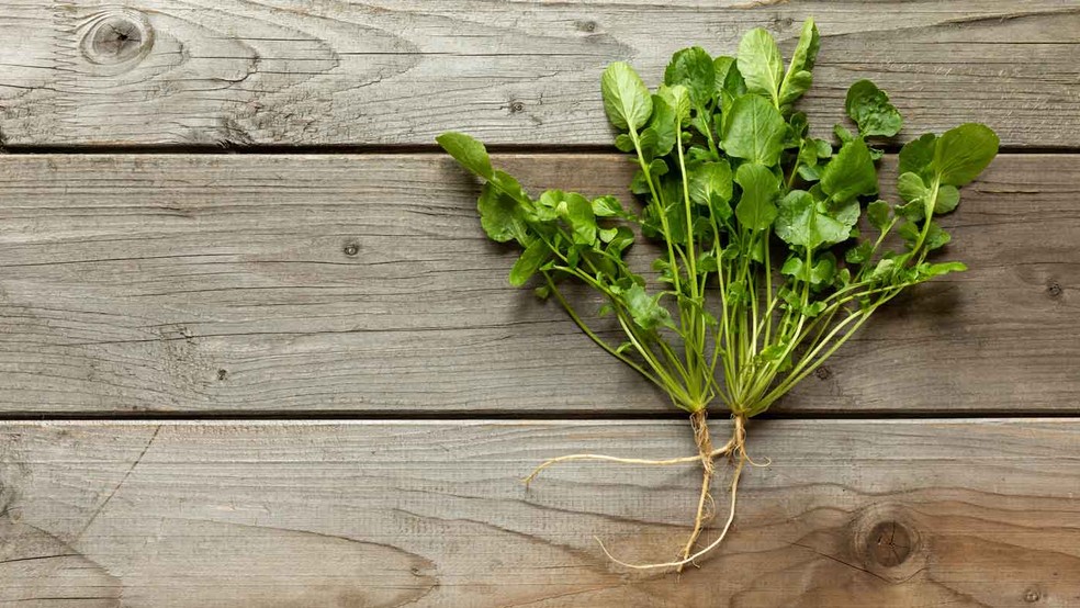 Aliado Natural: Agrião no Combate a Infecções Respiratórias - inspiração 1