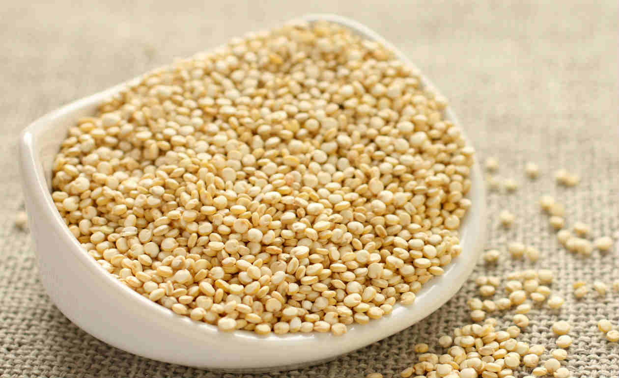 Entenda a Proteína Completa que Nutre de Verdade - inspiração 3