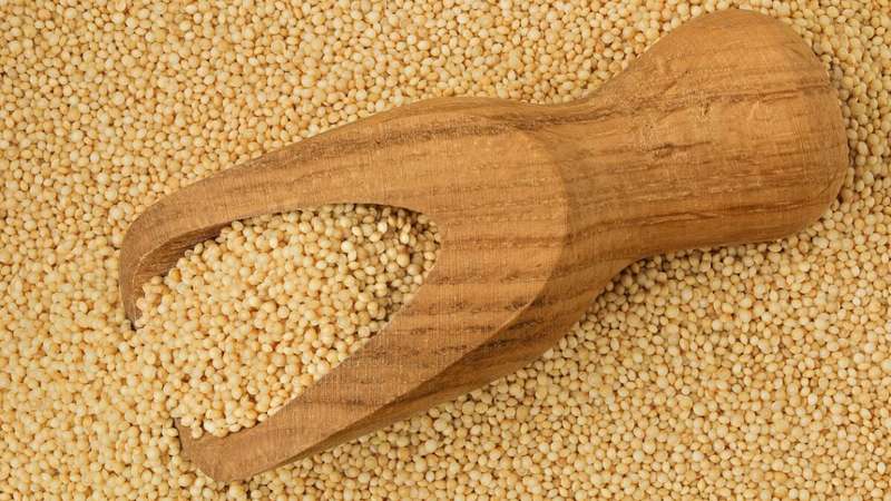 Apoio para Ossos Fortes: Cálcio e Amigos que Seu Corpo Ama - inspiração 1