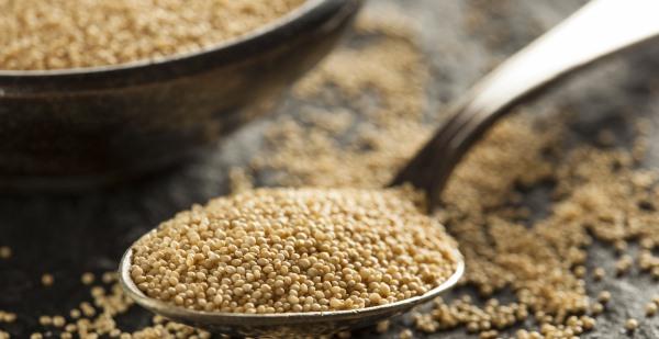 Regule o Açúcar e o Colesterol com Inteligência - inspiração 1