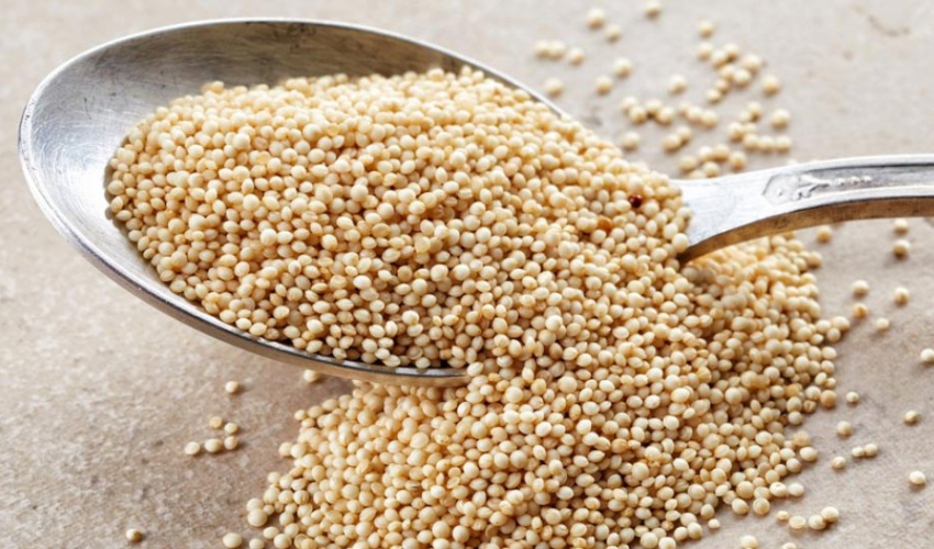 Proteção Antioxidante: O Escudo para uma Vida Mais Leve - inspiração 1