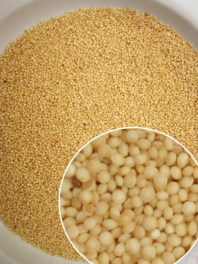 Amaranto: Seu Aliado na Cozinha Sem Glúten - inspiração 2