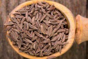 Escudo Contra Infecções: Ação Antimicrobiana do Cominho no Seu Prato - inspiração 3