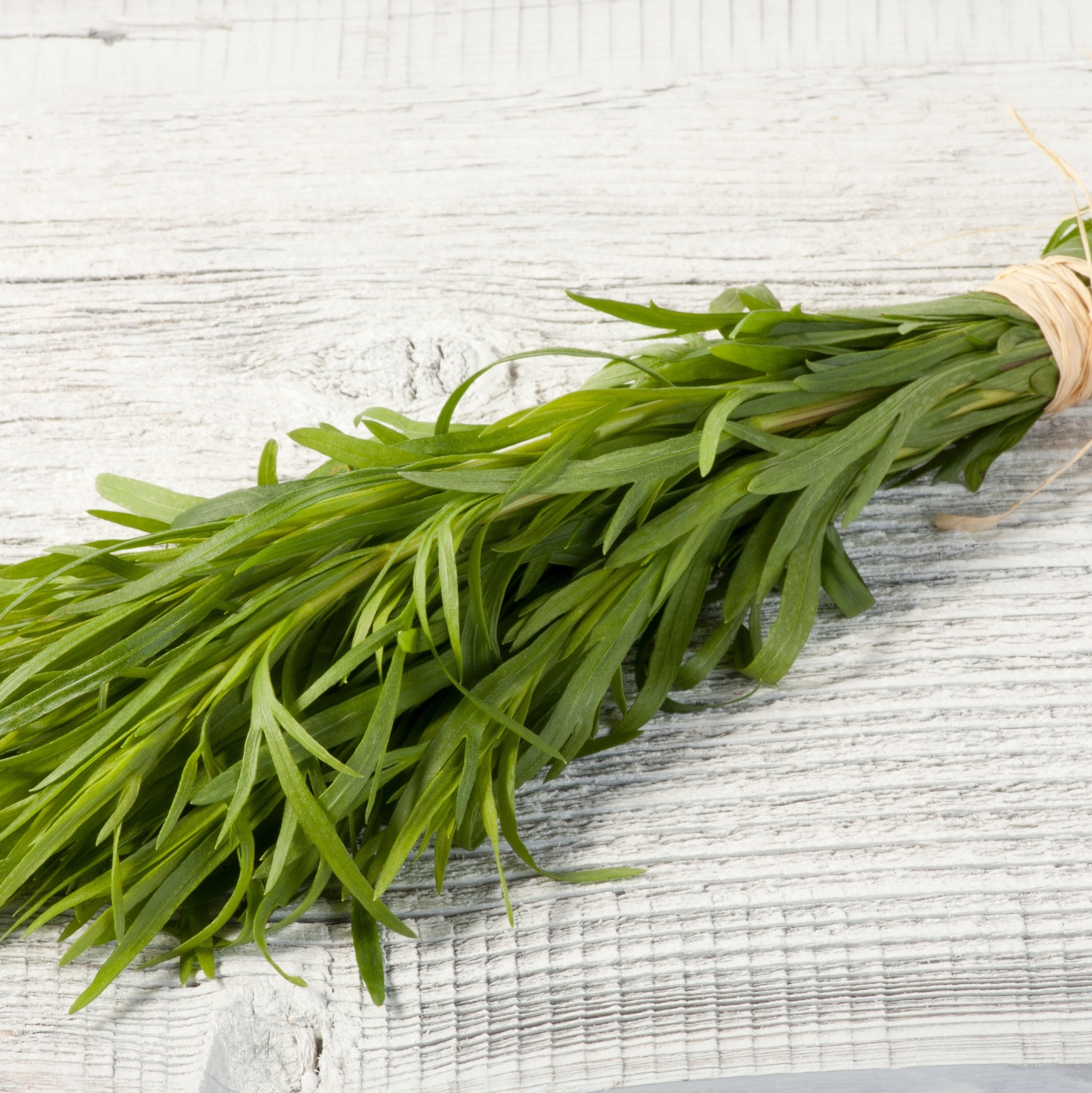 Seu Açúcar sob Controle: Como o Estragão Ajuda a Manter a Glicemia no Ponto - inspiração 2