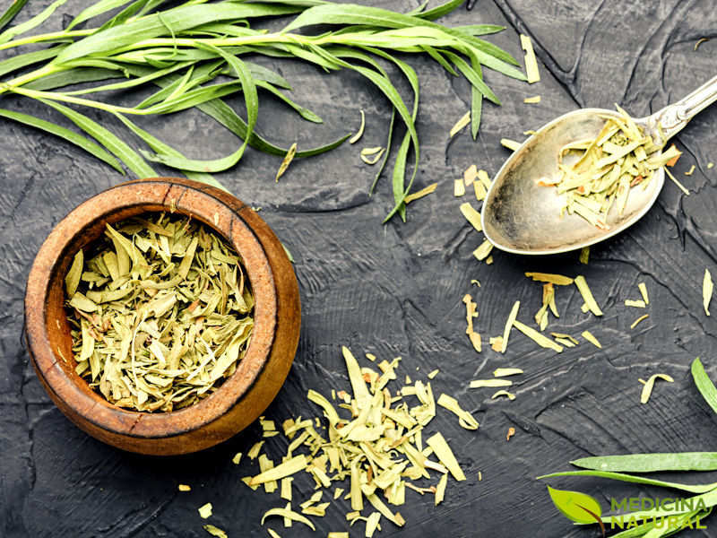 Noites de Pura Paz: Estragão para Desacelerar e Abraçar um Sono Restaurador - inspiração 1