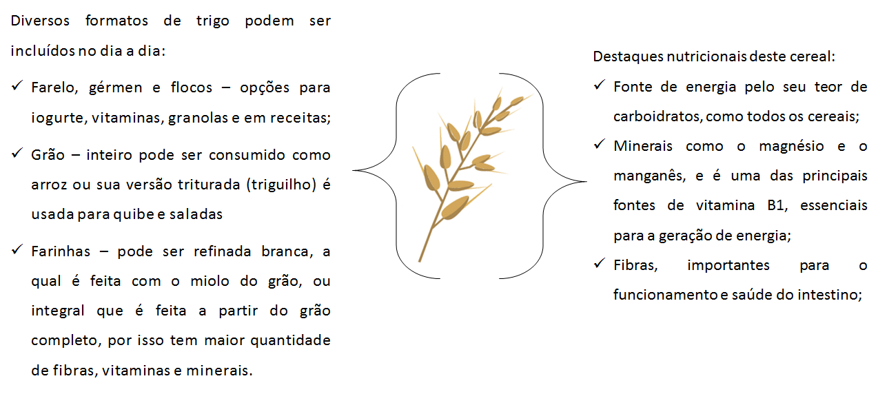 Dica #8: Versatilidade na Cozinha: Experimente em Diversas Preparações - inspiração 2