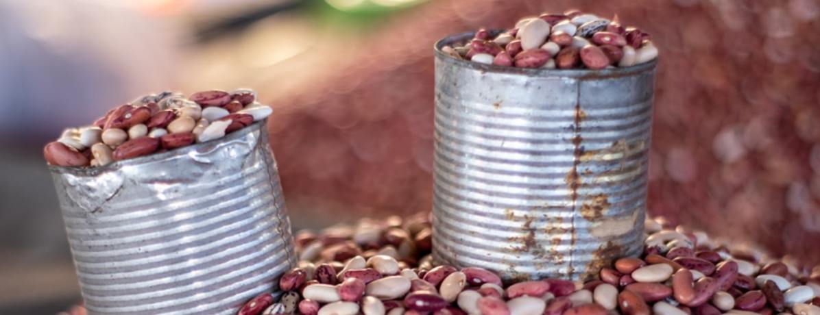 Proteína Turbinada: Ganhe massa muscular com o poder vegetal - inspiração 2