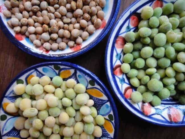 Fibras que Acalmam o Intestino: Diga adeus ao desconforto - inspiração 3