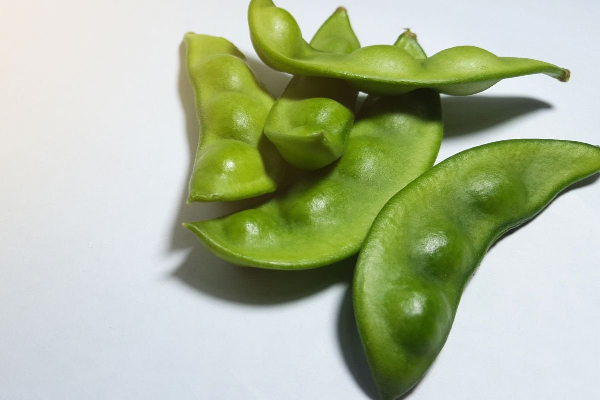 Glicemia Sob Controle: Estabilize o açúcar no sangue de forma natural - inspiração 1