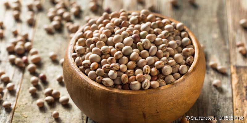 Energia Extra com Vitaminas do Complexo B: Sinta a vitalidade renascer - inspiração 2