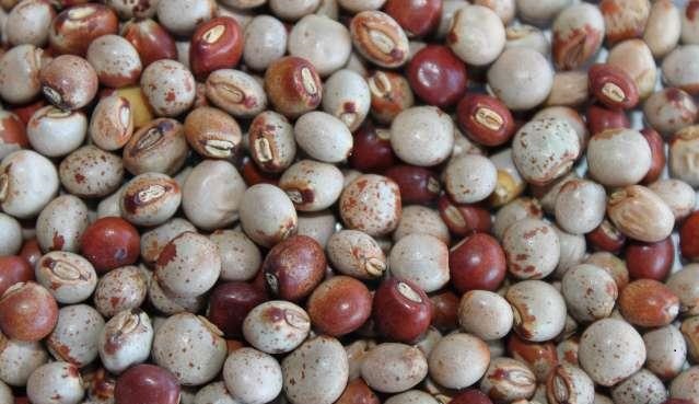 Energia Extra com Vitaminas do Complexo B: Sinta a vitalidade renascer - inspiração 3