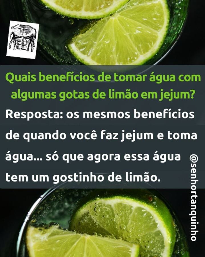 Leveza na Digestão: O Segredo do Limão para um Intestino Feliz - inspiração 1