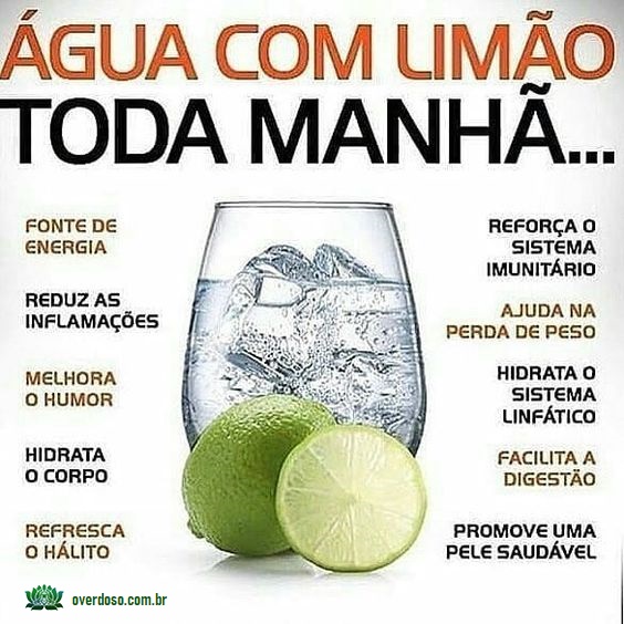 Leveza na Digestão: O Segredo do Limão para um Intestino Feliz - inspiração 2