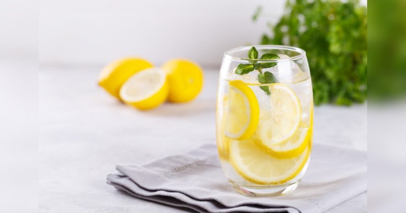 Aliado Essencial: Potencialize a Absorção de Ferro com Sabedoria - inspiração 3