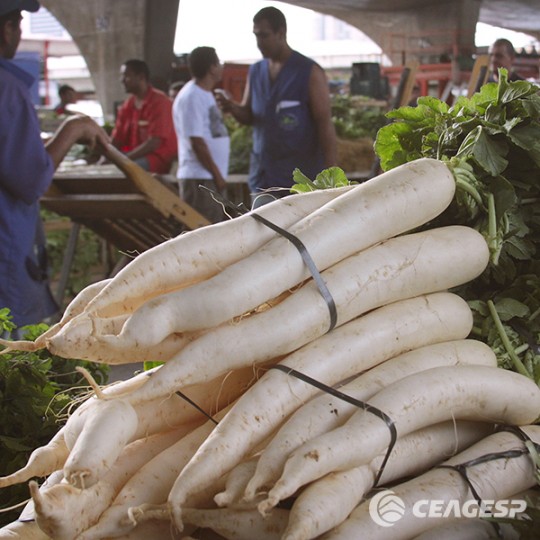 Dica de Ouro para a Digestão: A Fibra que Faz a Diferença - inspiração 1