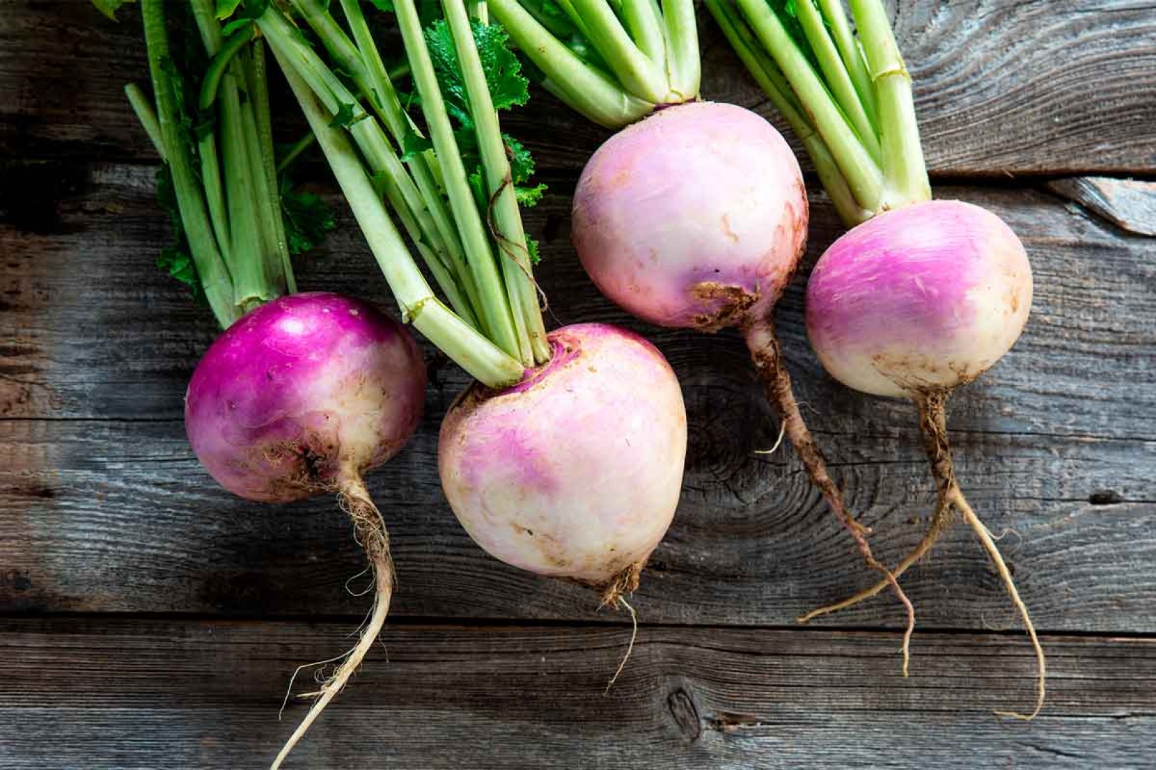 Aliado do Emagrecimento: Como o Nabo Gigante Ajuda a Perder Peso - inspiração 3