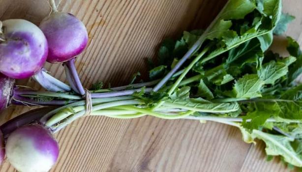 Ossos Fortes, Visão Nítida: Os Minerais Essenciais do Nabo Gigante - inspiração 1