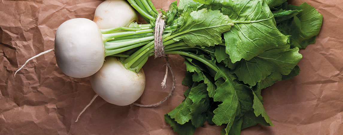 Receitas Criativas: Explore o Sabor do Nabo Gigante na Cozinha - inspiração 1