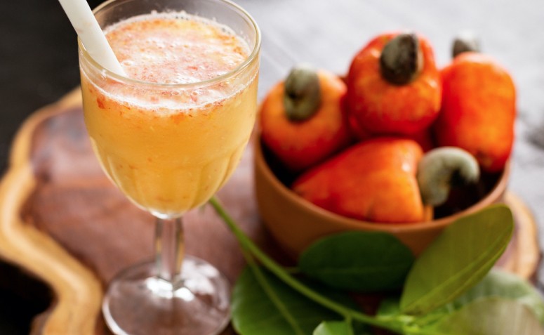 Turbo no Sistema Imunológico: A Muralha de Vitamina C Contra Doenças - inspiração 1